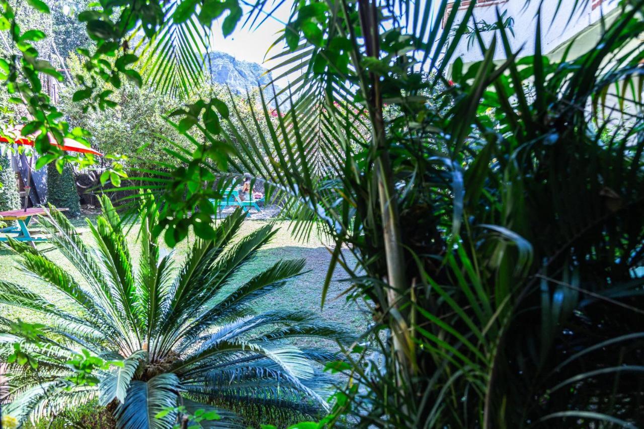 Colibri Turquesa Hotel เตโปซตลัน ภายนอก รูปภาพ